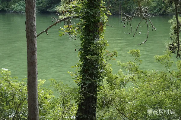 高清摄影 湖边静谧的长椅