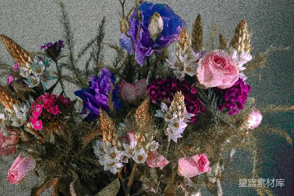 高清摄影 紫色系干花艺术插花