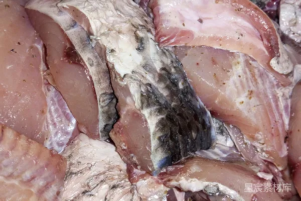 高清摄影 新鲜切割的鱼肉