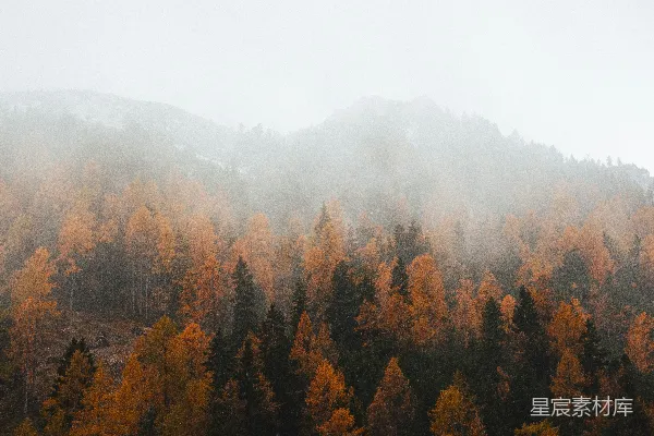 高清摄影 秋日山林的雾中景色