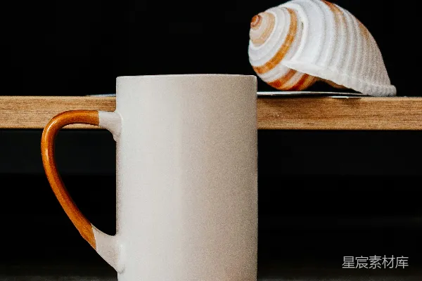 高清摄影 简约咖啡杯与贝壳