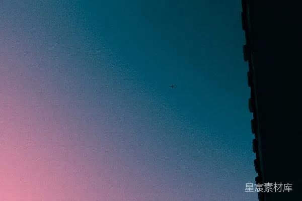高清摄影 静谧天空中的飞行者