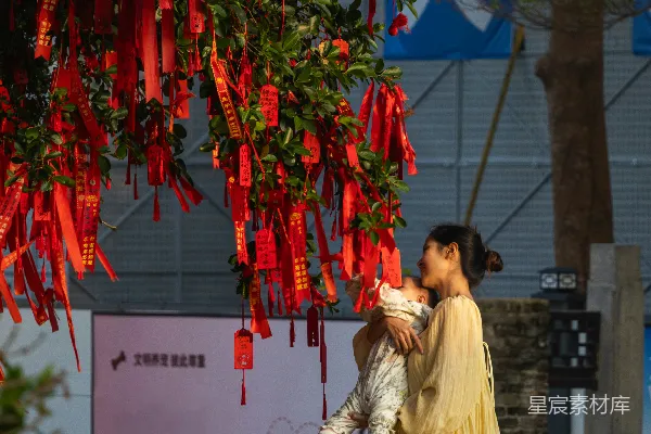 高清摄影 许愿树下的温馨时光