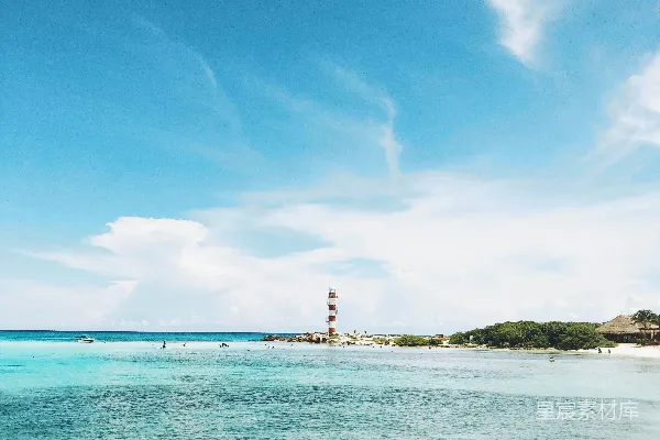 高清摄影 海滩上的人在白天。