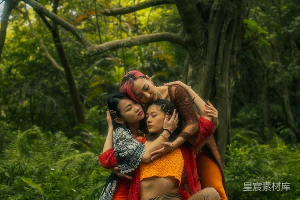 高清摄影 自然中的亲密拥抱