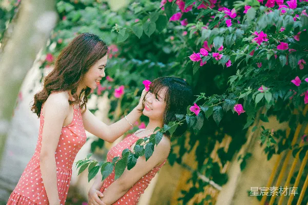 高清摄影 花下姐妹情深