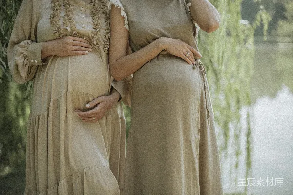 高清摄影 怀中期待：两位孕妇的温柔瞬间