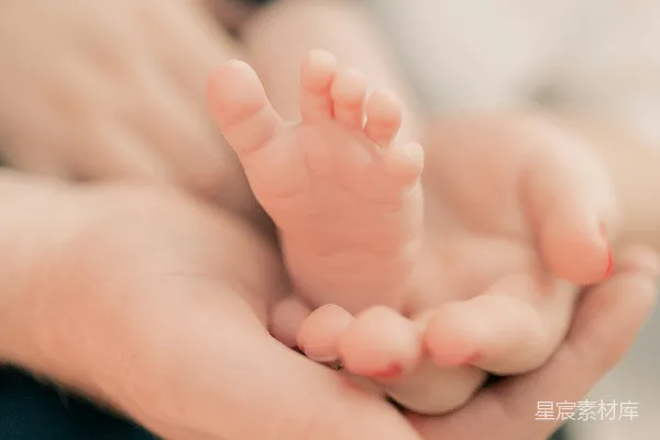 高清摄影 温馨的拥抱：新生婴儿的小小手
