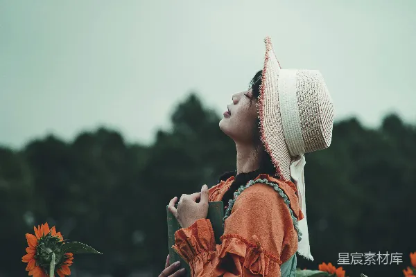 高清摄影 在向日葵田的静谧时光