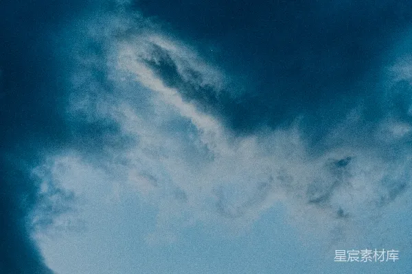 高清摄影 天空中的孤鸟