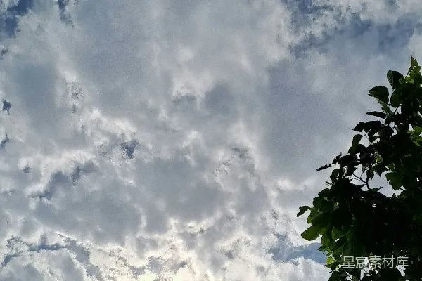高清摄影 云层与阳光透过树叶