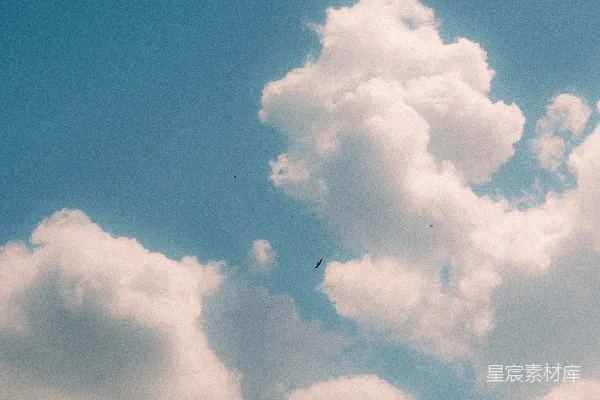 高清摄影 蓝天白云与鸟影