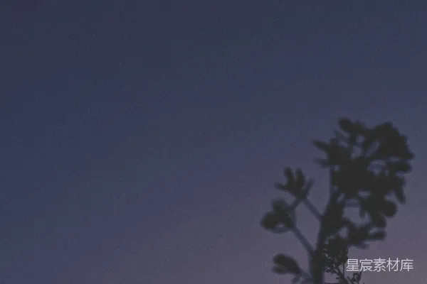 高清摄影 夜空下的新月与剪影