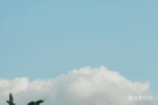高清摄影 晴空下的云与树