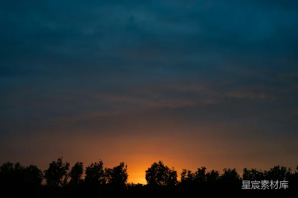 高清摄影 夕阳下的树影