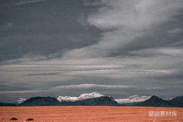 高清摄影 金色花海映雪山