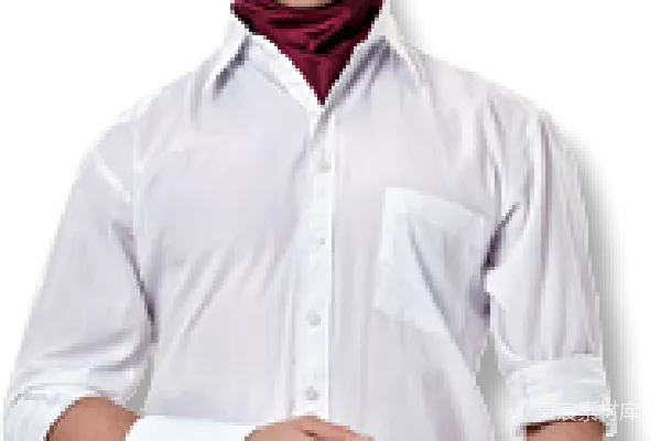 元素素材 waiter