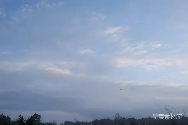 高清摄影 晨曦中的森林与云层
