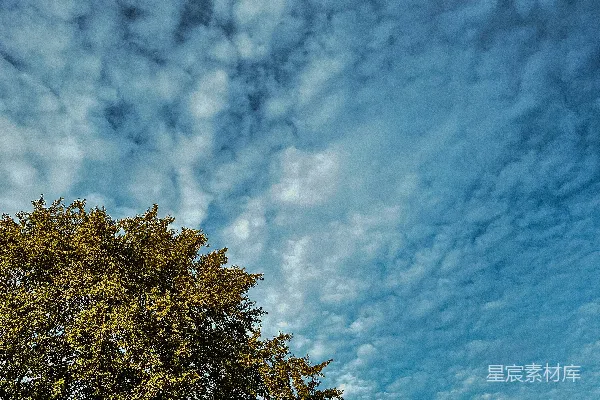 高清摄影 树与云的和谐
