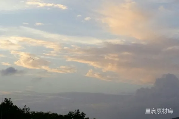 高清摄影 夕阳下的云与鸟