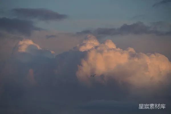 高清摄影 夕阳下的云与鸟