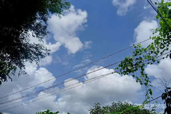高清摄影 蓝天白云下的自然与电线