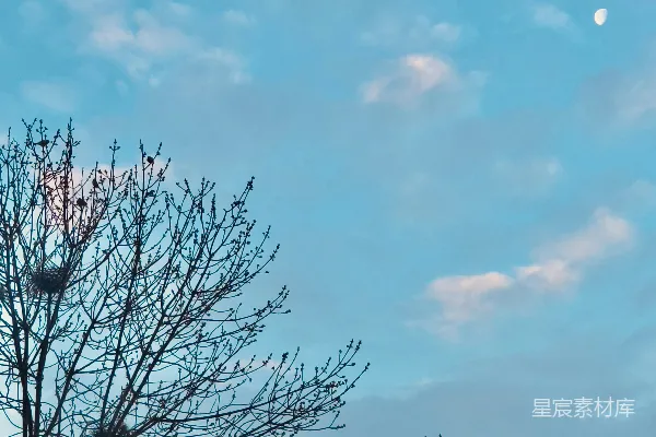 高清摄影 冬日静谧的天空