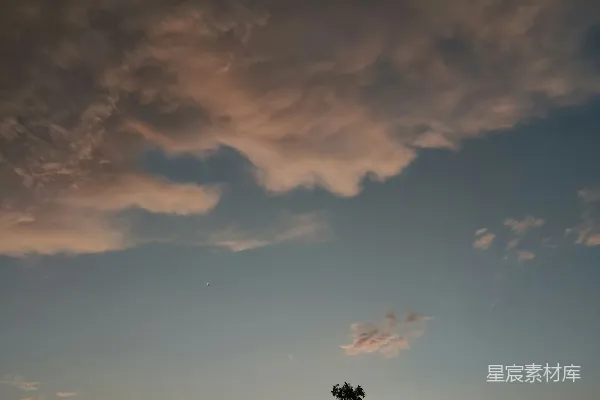 高清摄影 日落时分的天空与椰树剪影