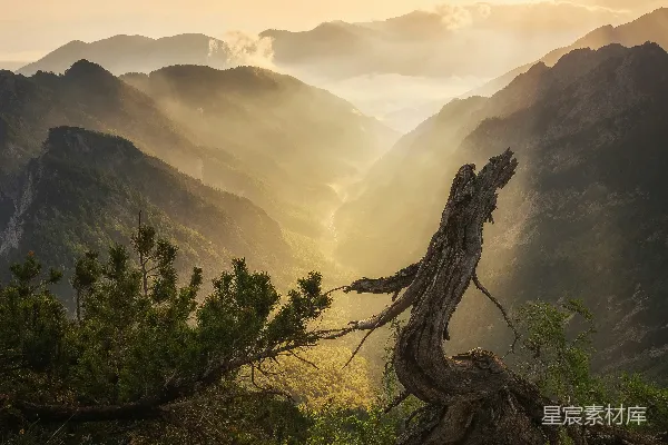 高清摄影 晨光中的山谷
