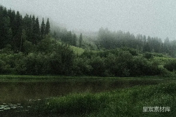 高清摄影 雾中的森林湖泊