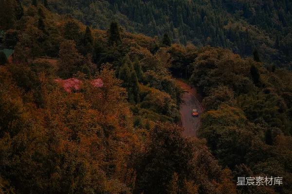 高清摄影 山间小路的秋景