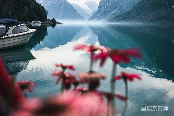 高清摄影 静谧湖畔的花与山
