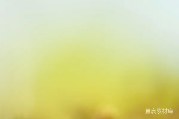 高清摄影 清晨的草地
