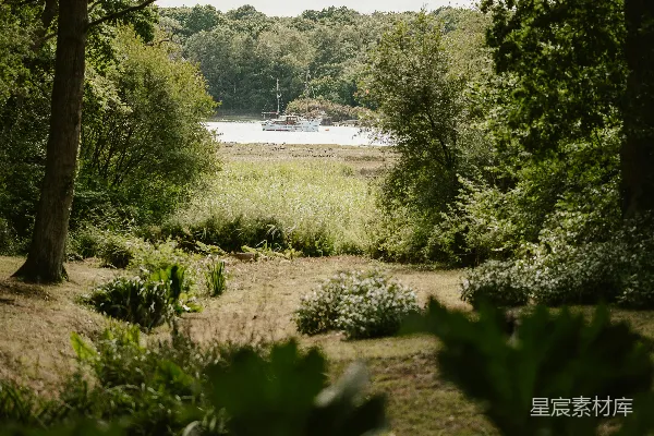高清摄影 自然中的宁静湖景