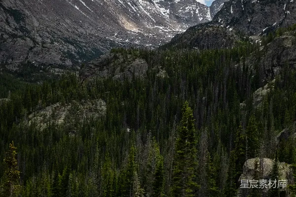 高清摄影 雪山下的森林