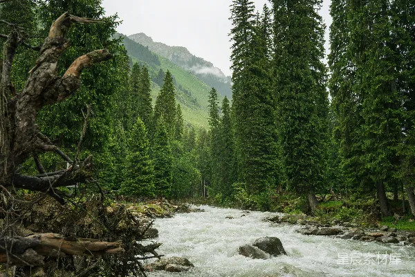 高清摄影 山间湍急的溪流