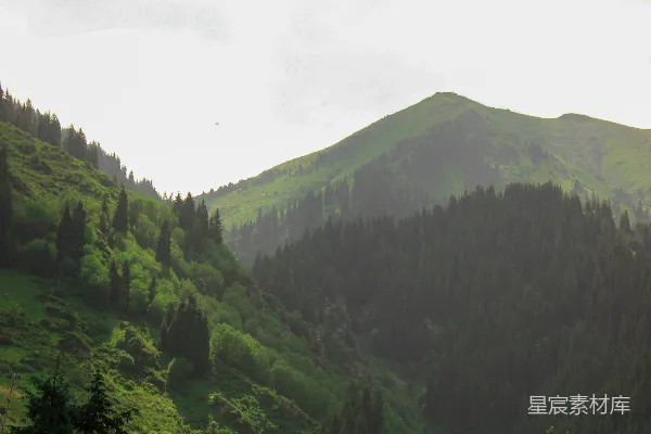 高清摄影 山间绿意盎然的宁静景色