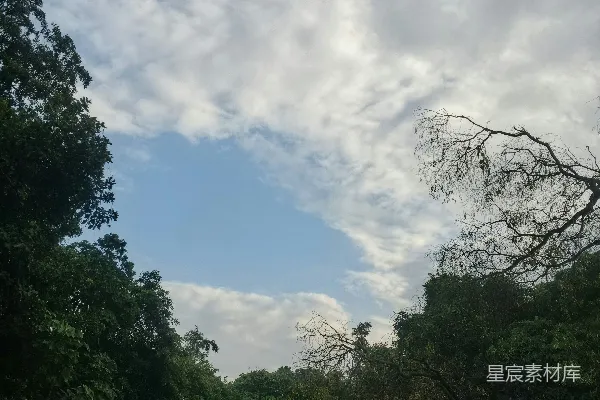 高清摄影 云间的宁静森林