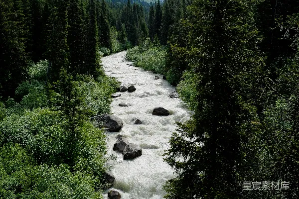 高清摄影 高山峡谷中的湍急河流