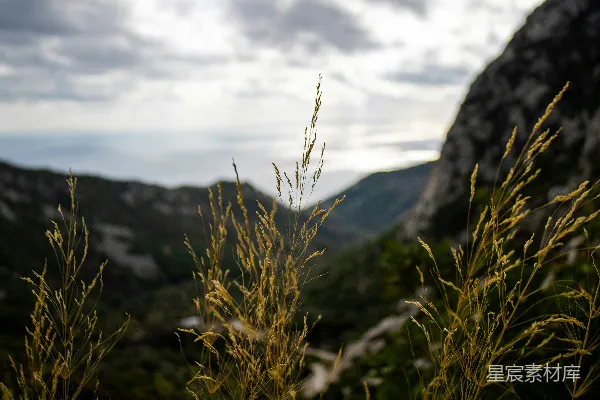 高清摄影 山间草地与远山