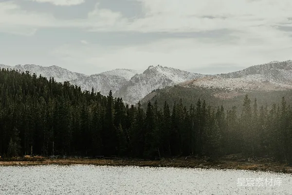 高清摄影 雪后的山脉与松林