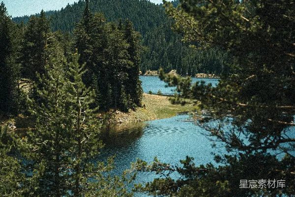 高清摄影 森林中的宁静湖景