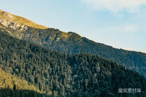 高清摄影 山间森林的宁静美景