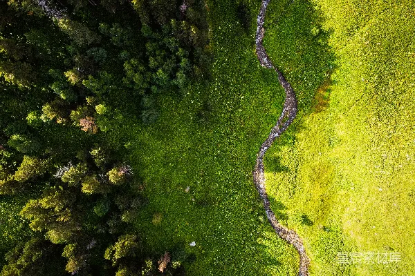 高清摄影 森林中的蜿蜒小溪