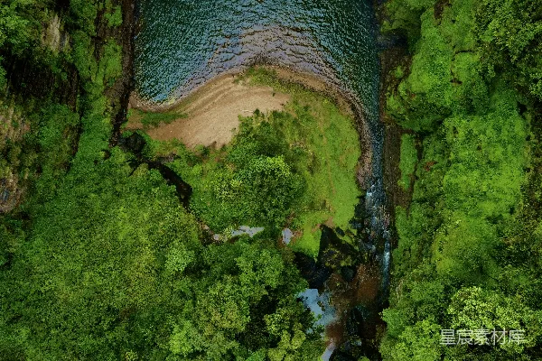 高清摄影 丛林中的河流弯道