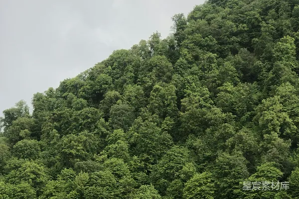 高清摄影 湖畔绿意盎然的山景