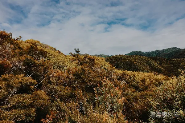 高清摄影 山间秋色