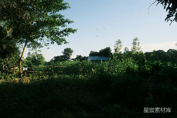 高清摄影 乡村晨景