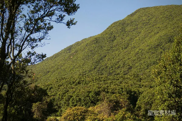 高清摄影 阳光下的山林