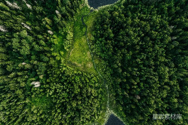 高清摄影 森林中的河流